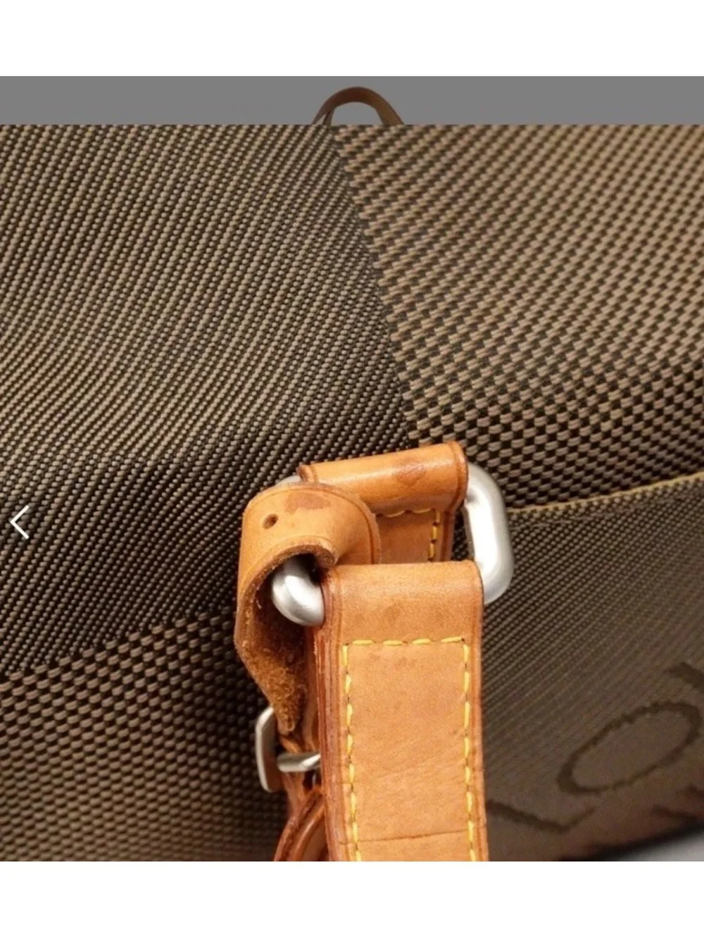 Louis Vuitton classic louis